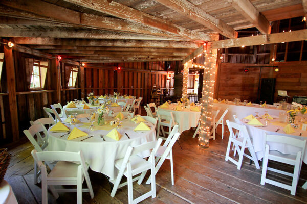 PV - Winter Social 2025 - Image 2