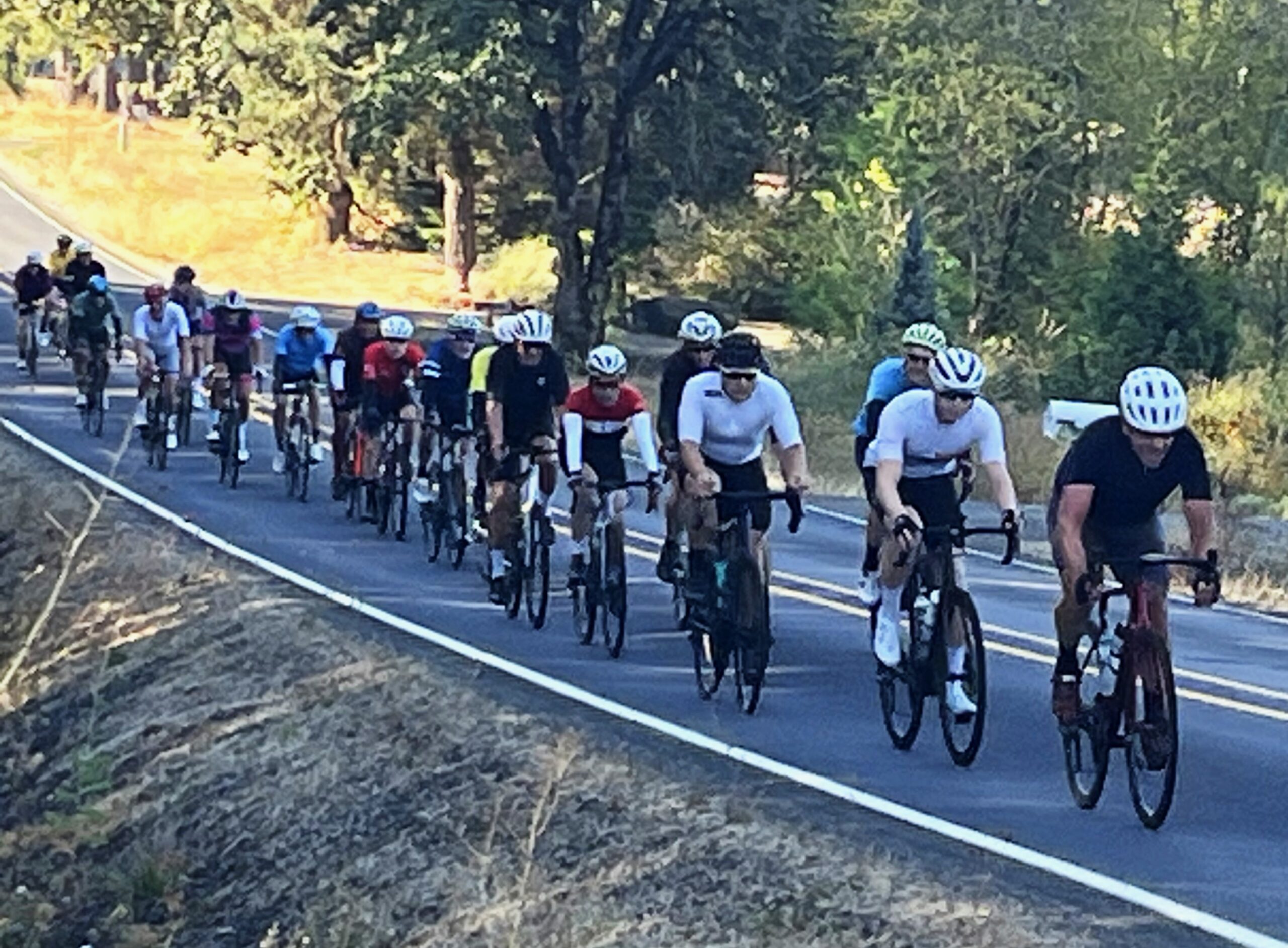 PV - Saturday Ride